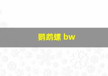 鹦鹉螺 bw